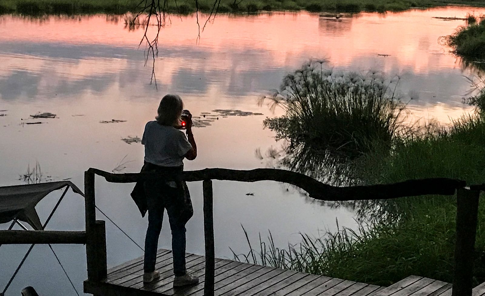 Immagine per Grado, la magia del volo negli scatti della fotografa naturalista Margitta Thomann
