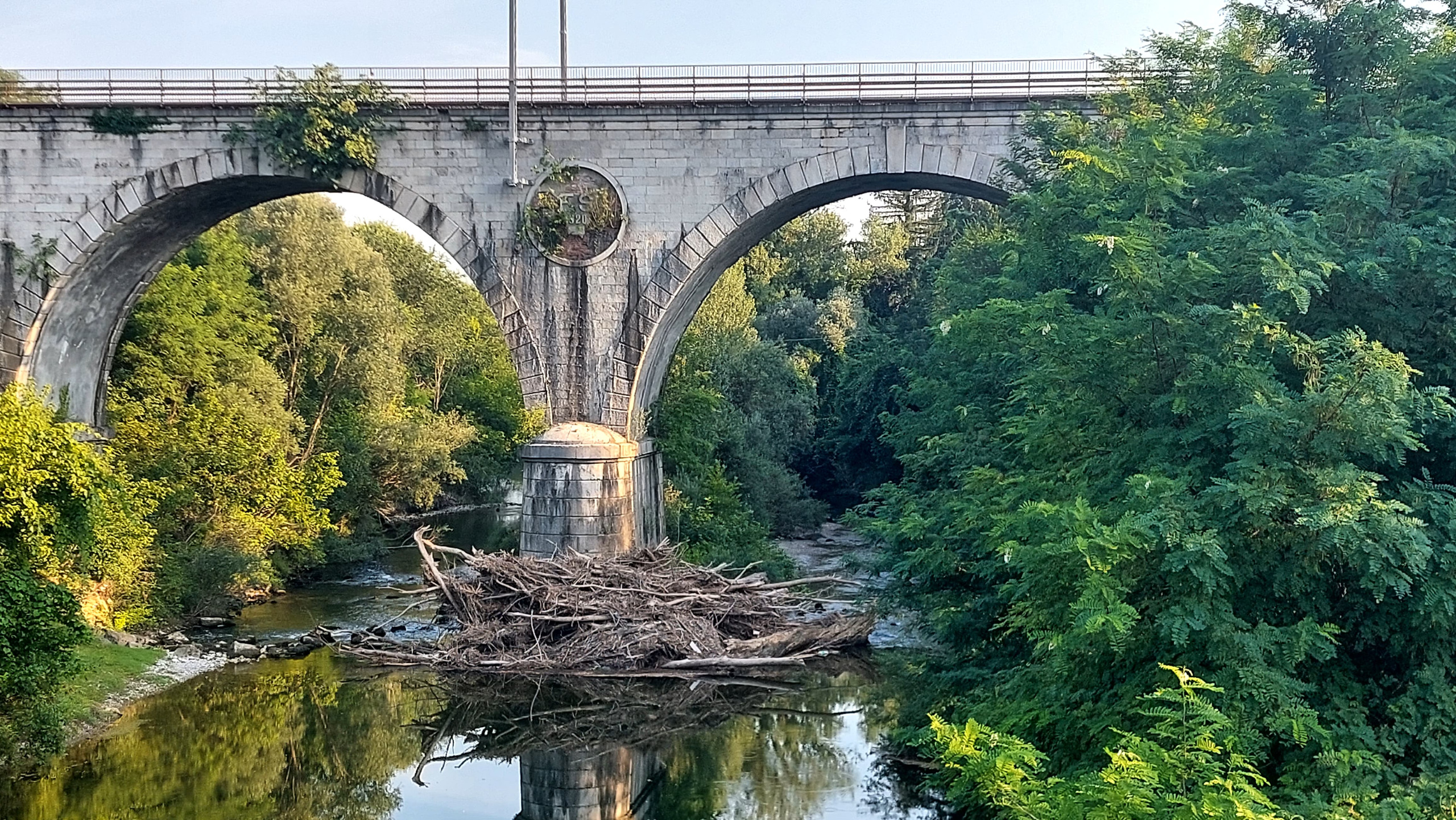 Immagine per Rami sotto il ponte ferroviario di Rubbia, scontro sulla pulizia del Vipacco