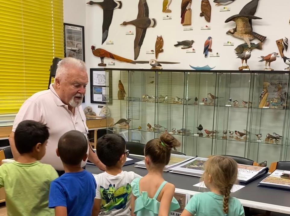 Immagine per Coralli, fossili e animali: il patrimonio del Museo Comel di Gorizia guarda al 2025