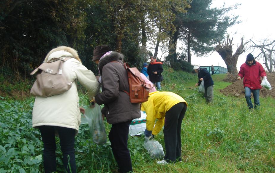 Monfalcone, alla scoperta delle erbe eduli con il Mutuo soccorso