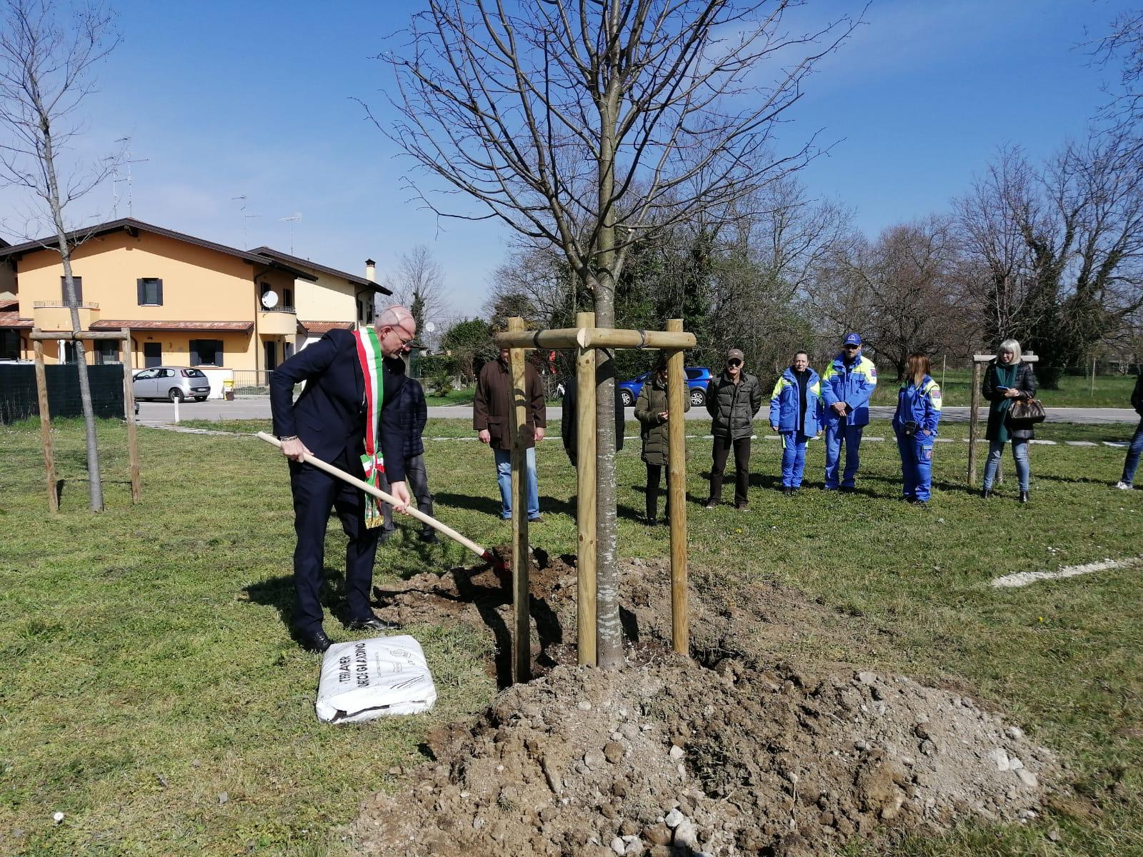 A San Canzian d'Isonzo un albero in ricordo dei 28 morti in pandemia