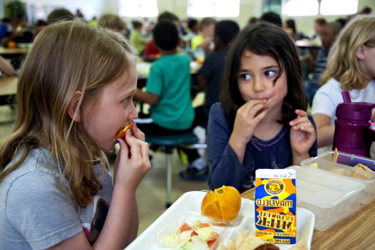 Copertina per Mense scolastiche alla Cirfood: gara da 2,6 milioni per 180mila pasti a Ronchi