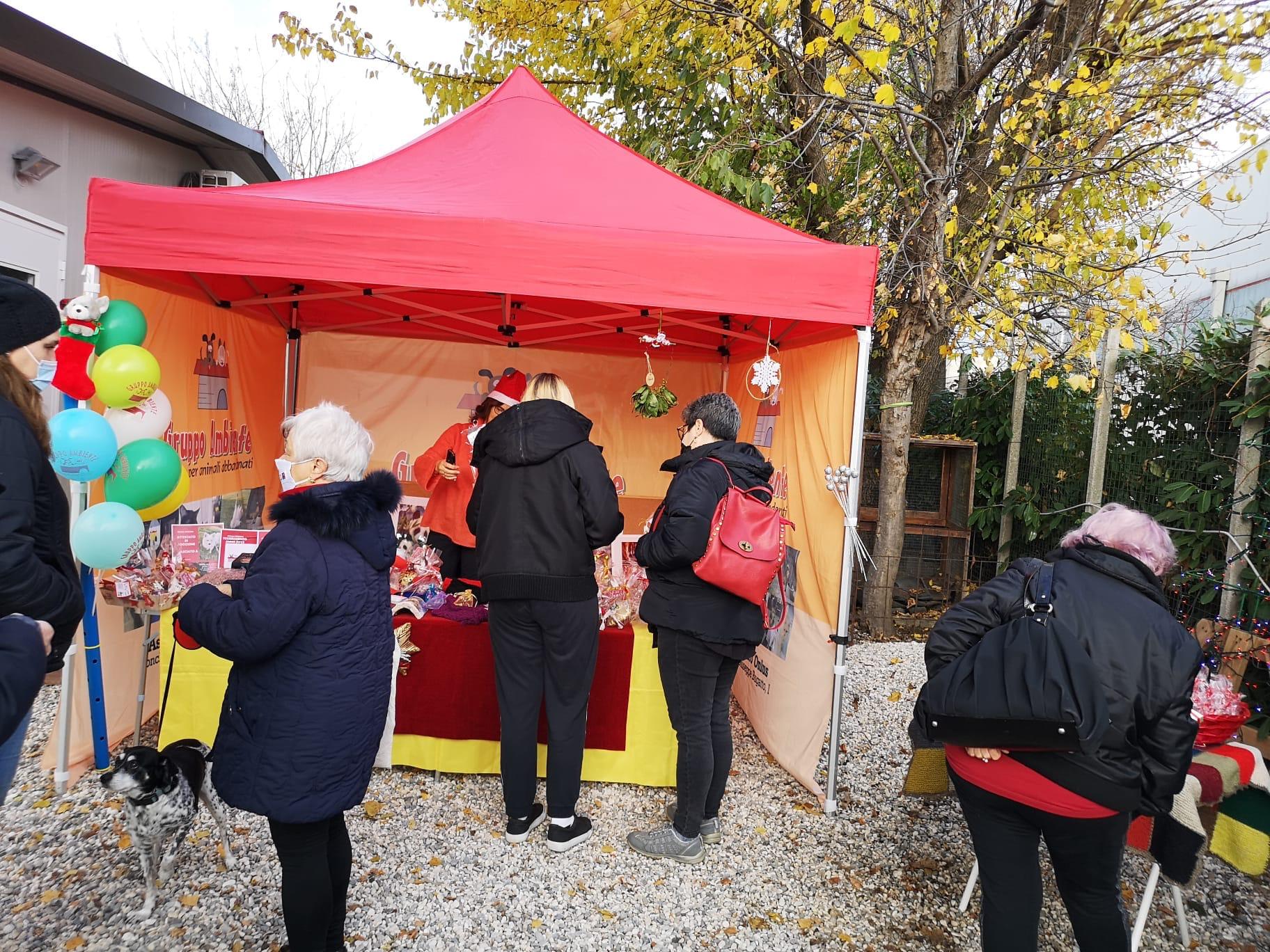 Copertina per Ronchi, concerto per aiutare il Gruppo Ambiente: fondi per gli animali