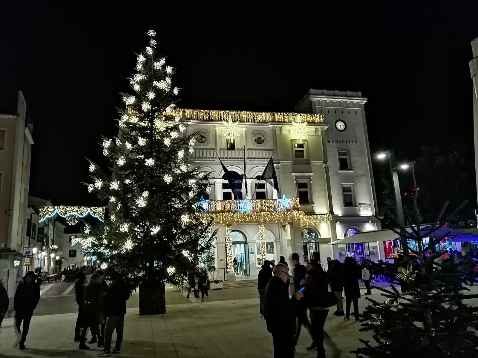 Copertina per Monfalcone accende l'albero di Natale e la Rocca, «così sosteniamo la città»