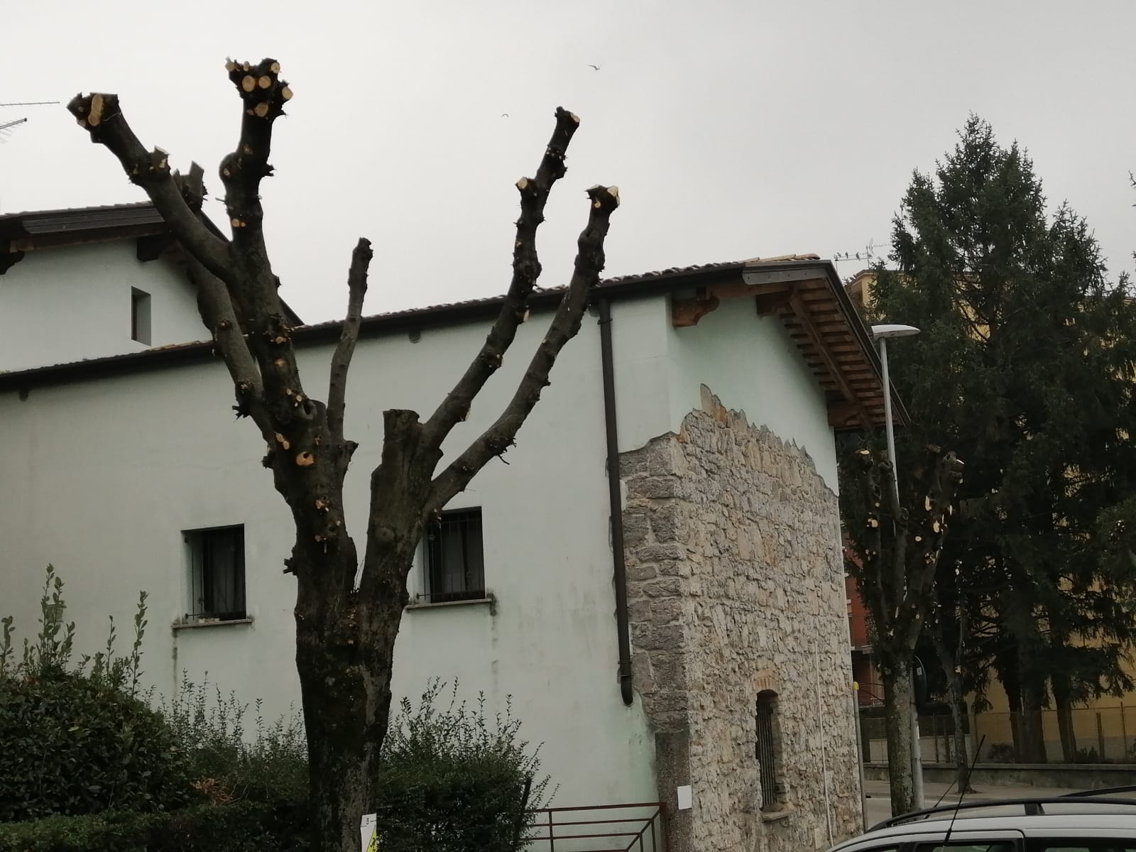 Immagine per Polemica su cura del verde a Ronchi, scintille tra Vecchiet e Bassi