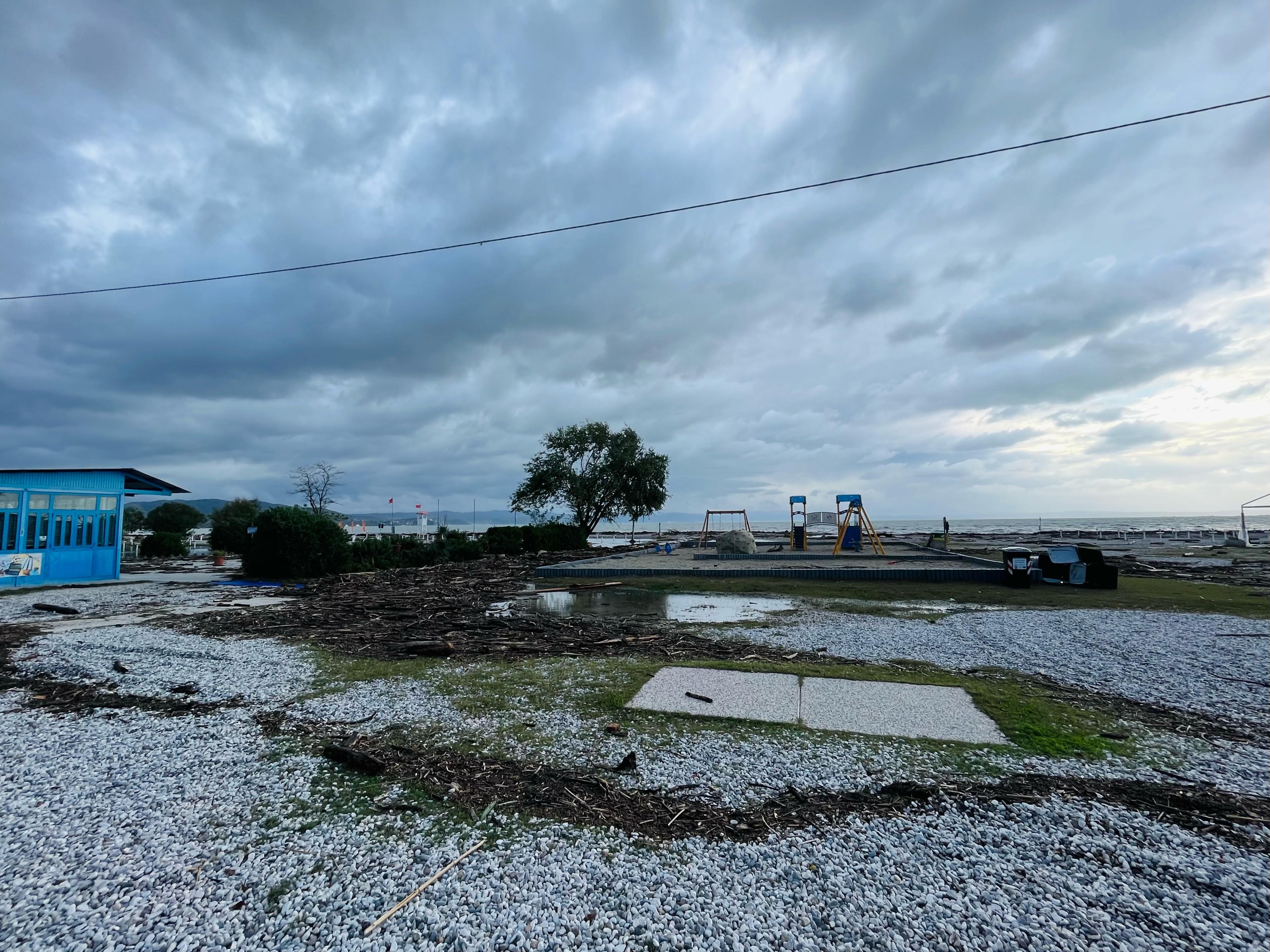 Copertina per Legna sulle spiagge di Monfalcone, ok a recupero dei cittadini