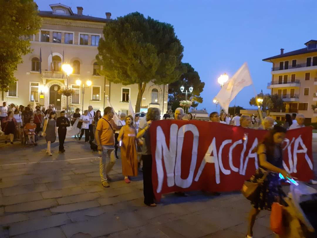 Immagine per Acciaieria in Laguna, le domande di Legambiente e Wwf al governo