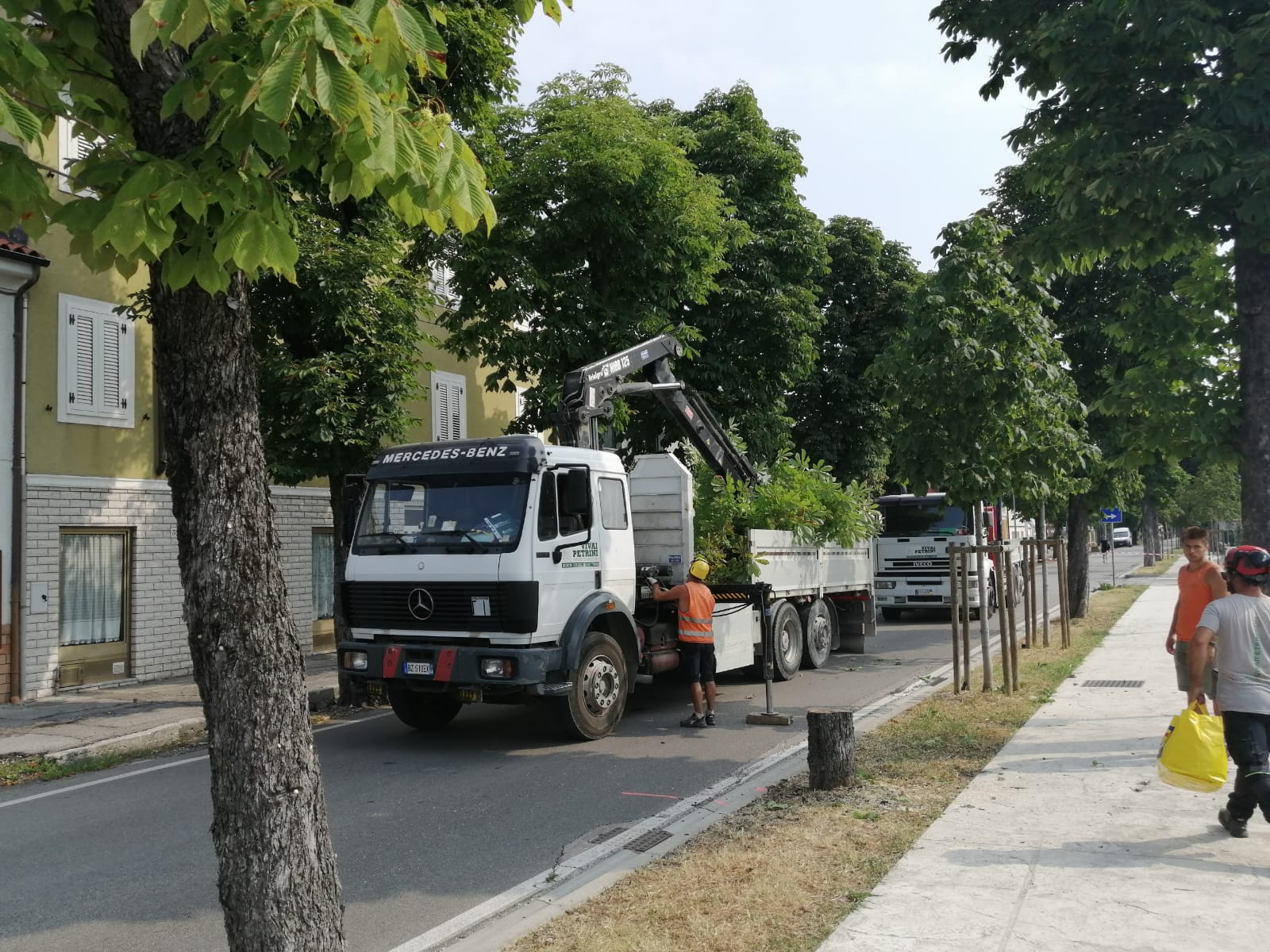 Copertina per Ronchi, parte il taglio di 29 alberi a rischio crollo: 41 sono malati