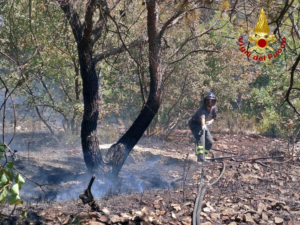 Immagine per Incendio Moschenizza, la Protezione Civile comunale bonifica l’area