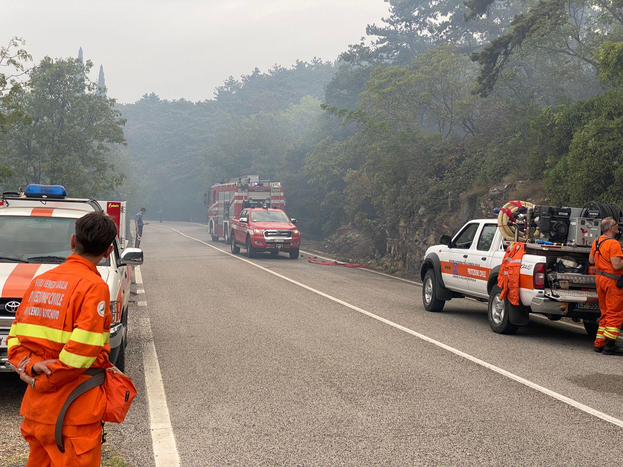 Immagine per Rischio incendi sul Carso, Monfalcone pulisce le strade verso i boschi