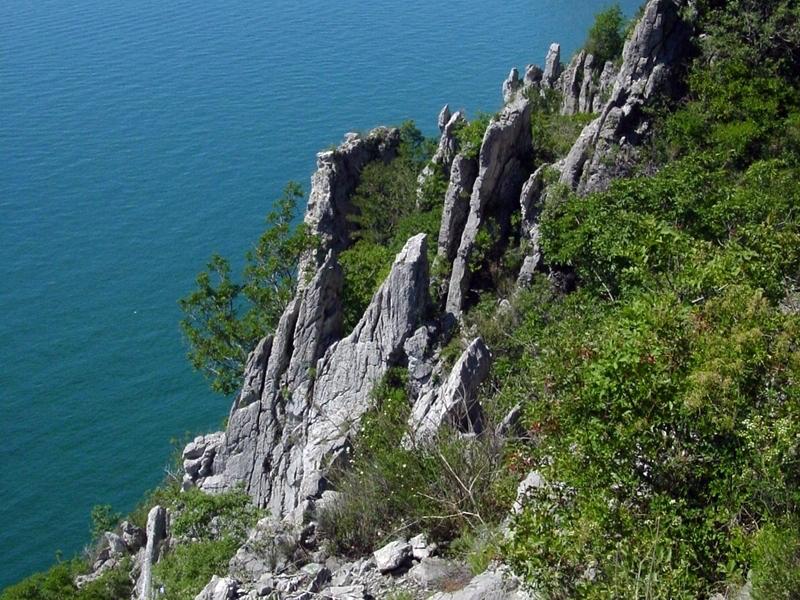 Immagine per Duino svela le sue Falesie, scoperta della natura con escursioni e birdwatching