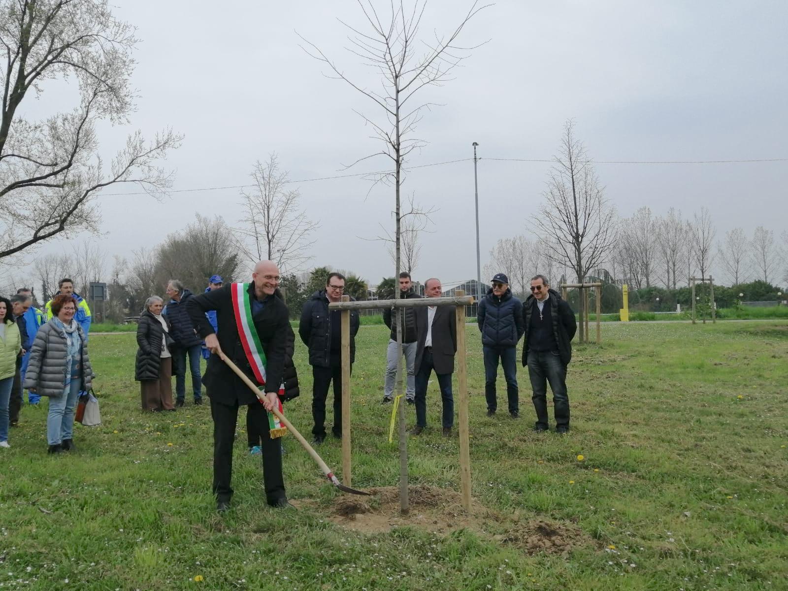 Immagine per Un bagolaro in memoria delle vittime del Covid, il ricordo a Begliano