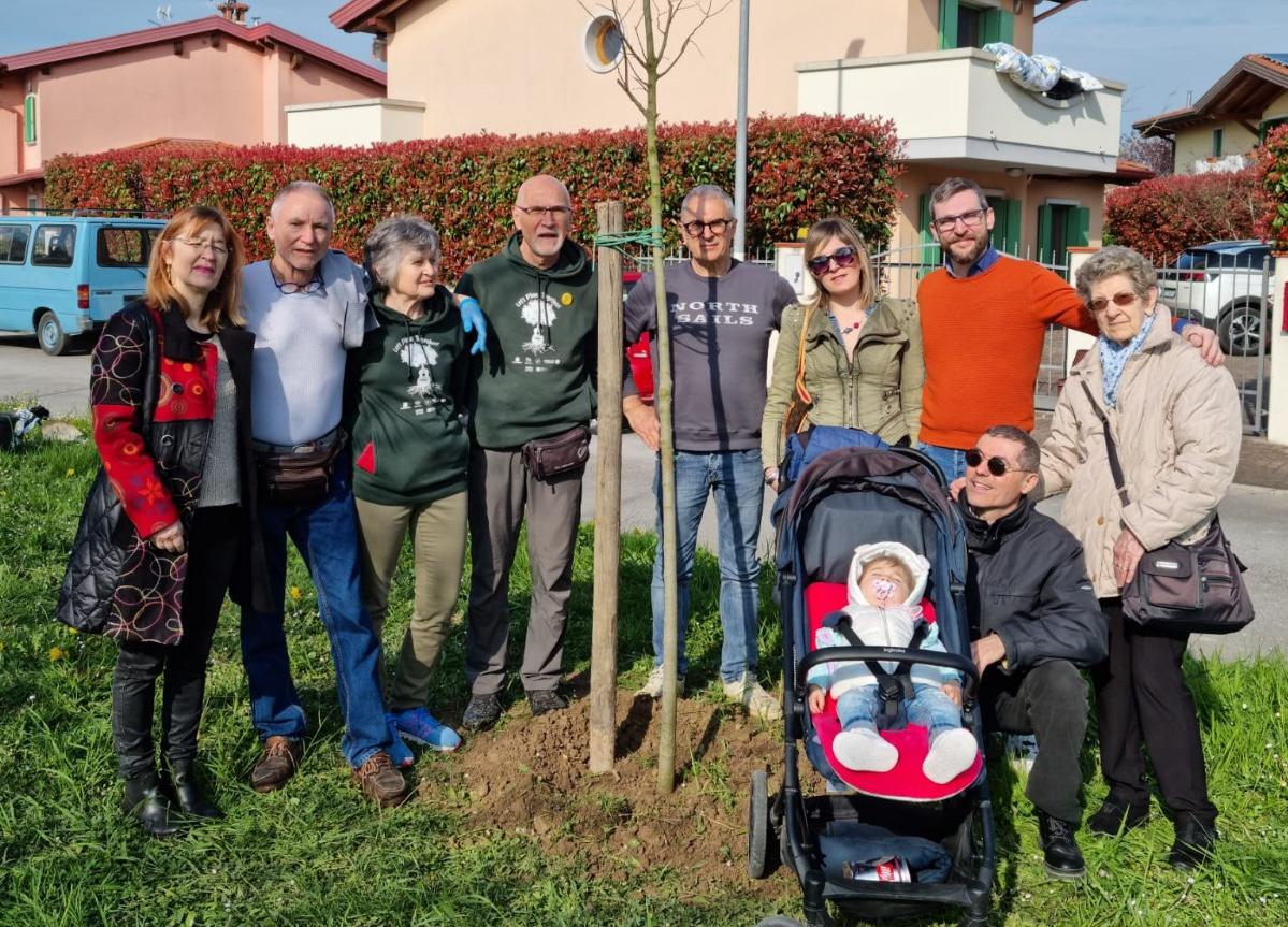 Immagine per Un bobolar per Noemi, la pianta per la neonata trova casa a Staranzano