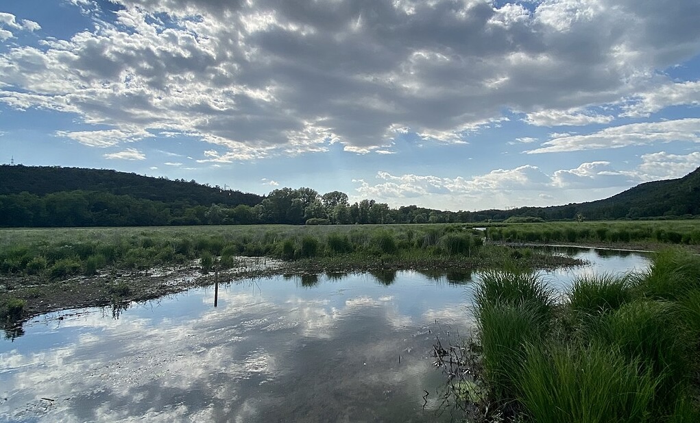 Immagine per Partono le escursioni nella riserva naturale dei Laghi, visite a Doberdò