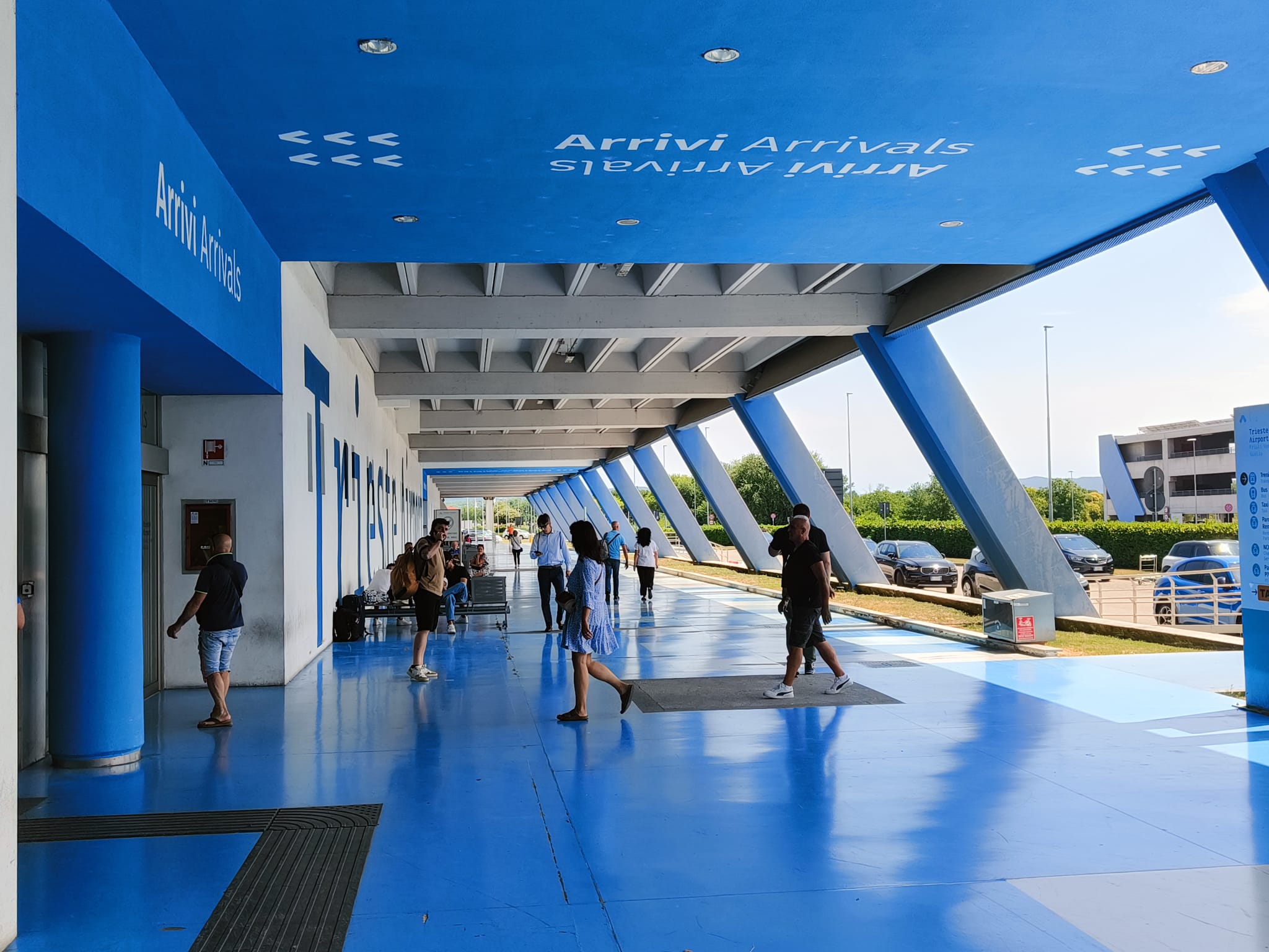 Copertina per Troppe zanzare attorno al Trieste Airport, martedì 26 la disinfestazione straordinaria voluta da Asugi