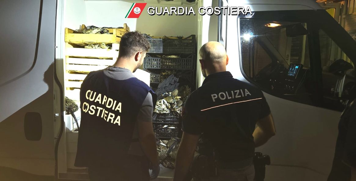Copertina per Blitz all’ uscita autostradale: sequestrati 200 chili di granchi blu senza tracciabilità e mal conservati