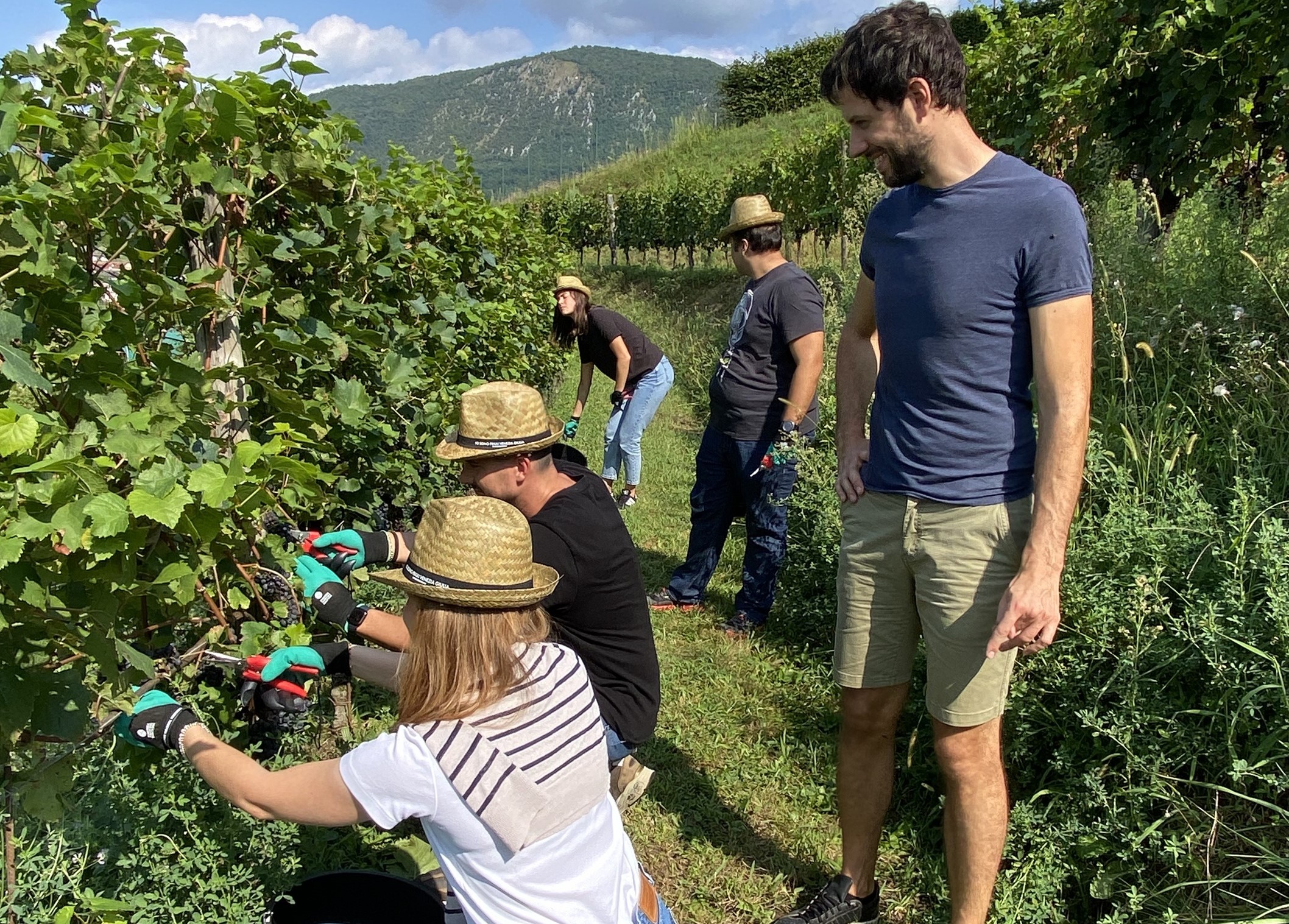 C’è anche Gradis’ciutta di San Floriano del Collio nel full immersion delle vendemmie turistico didattiche