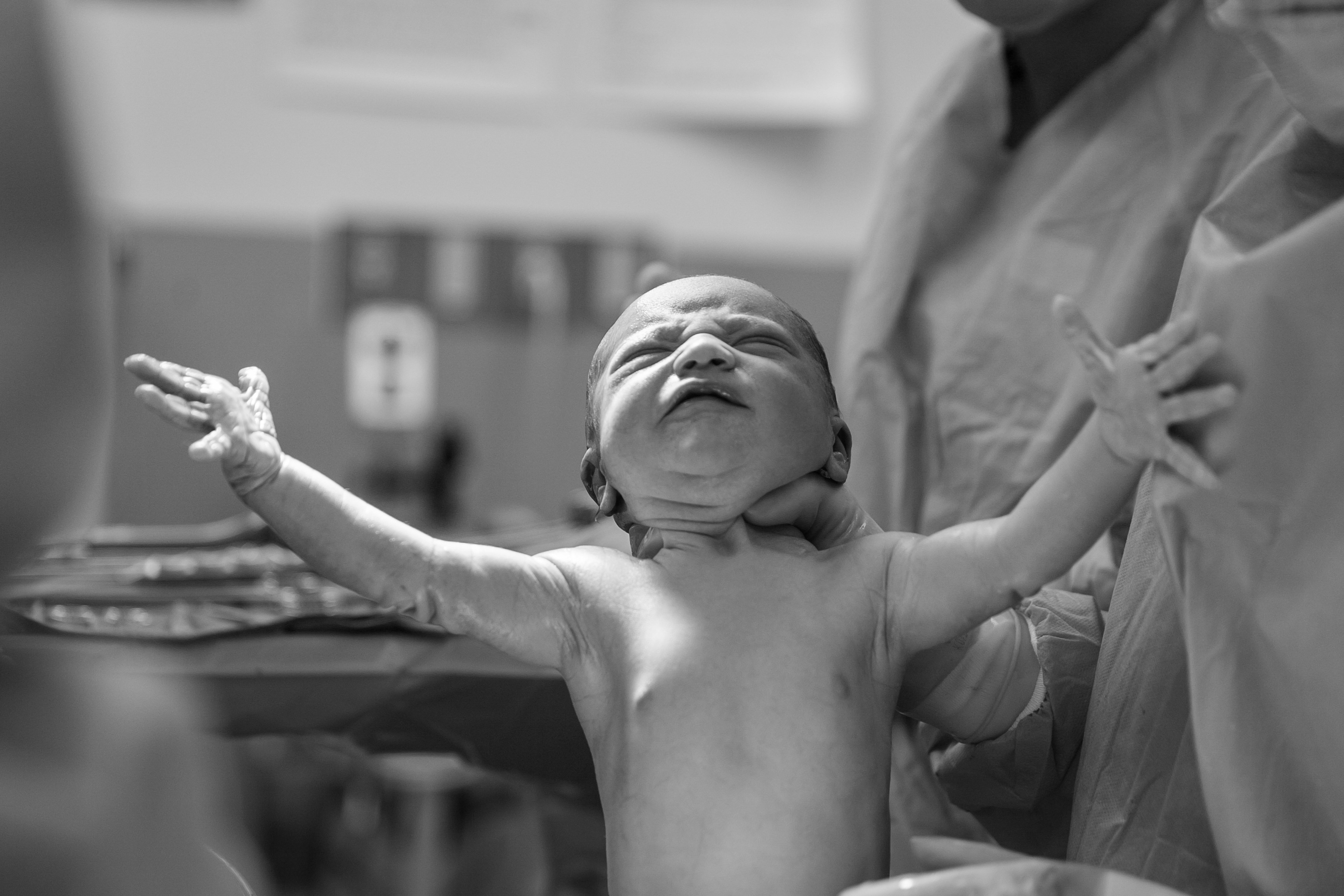 Immagine per Lettere - Benvenuti, piccoli!
