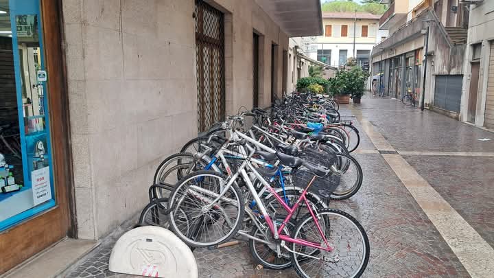 Immagine per Biciclette rimosse in via Blaserna, Percuzzi protesta: «Servono rastrelliere, non multe e sequestri»