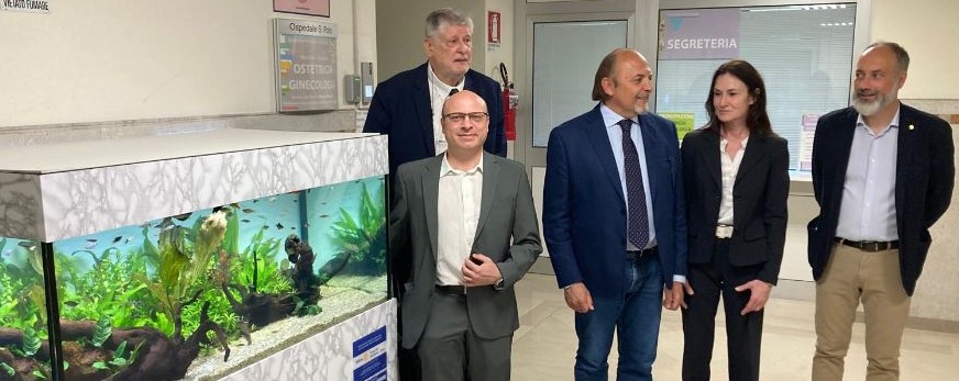 Copertina per Un nuovo acquario per i piccoli pazienti della Pediatria del San Polo: il dono del Rotary Club di Monfalcone Grado