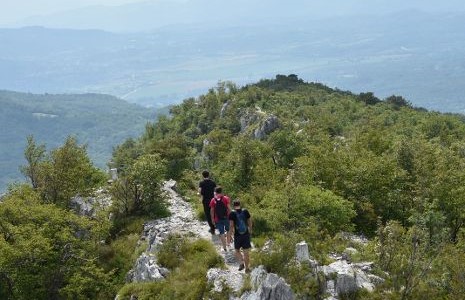 Immagine per L'edizione XL del Festival Urbano Multimediale di In\Visible Cities sul Monte Sabotino con 'Linee/Vrstice'