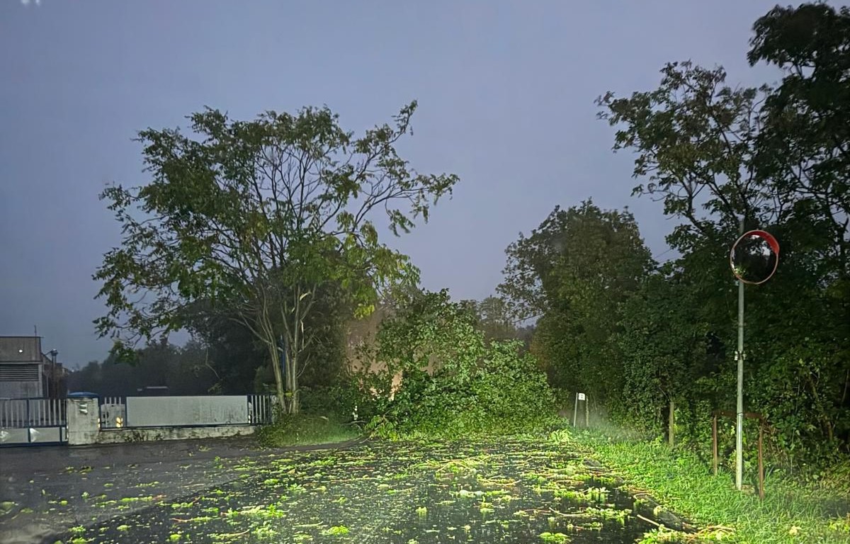 Immagine per Allerta meteo gialla sul Friuli Venezia Giulia, in arrivo piogge intense, temporali e mareggiate