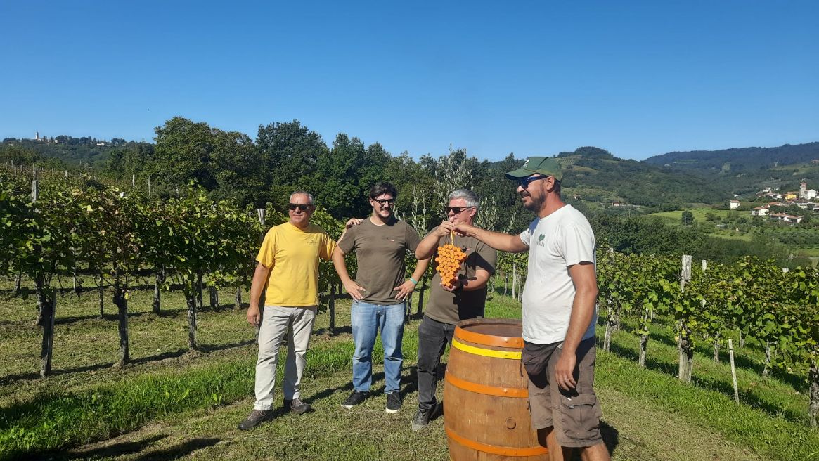 Copertina per Quel passaggio nel segno di unione e condivisione, il Grappolo della Vendemmia Solidale passato alla Cantina Primosic