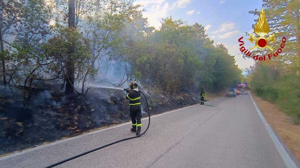 Immagine per Fiamme a San Michele: intervenuti Vigili del Fuoco, Protezione Civile e Corpo Forestale