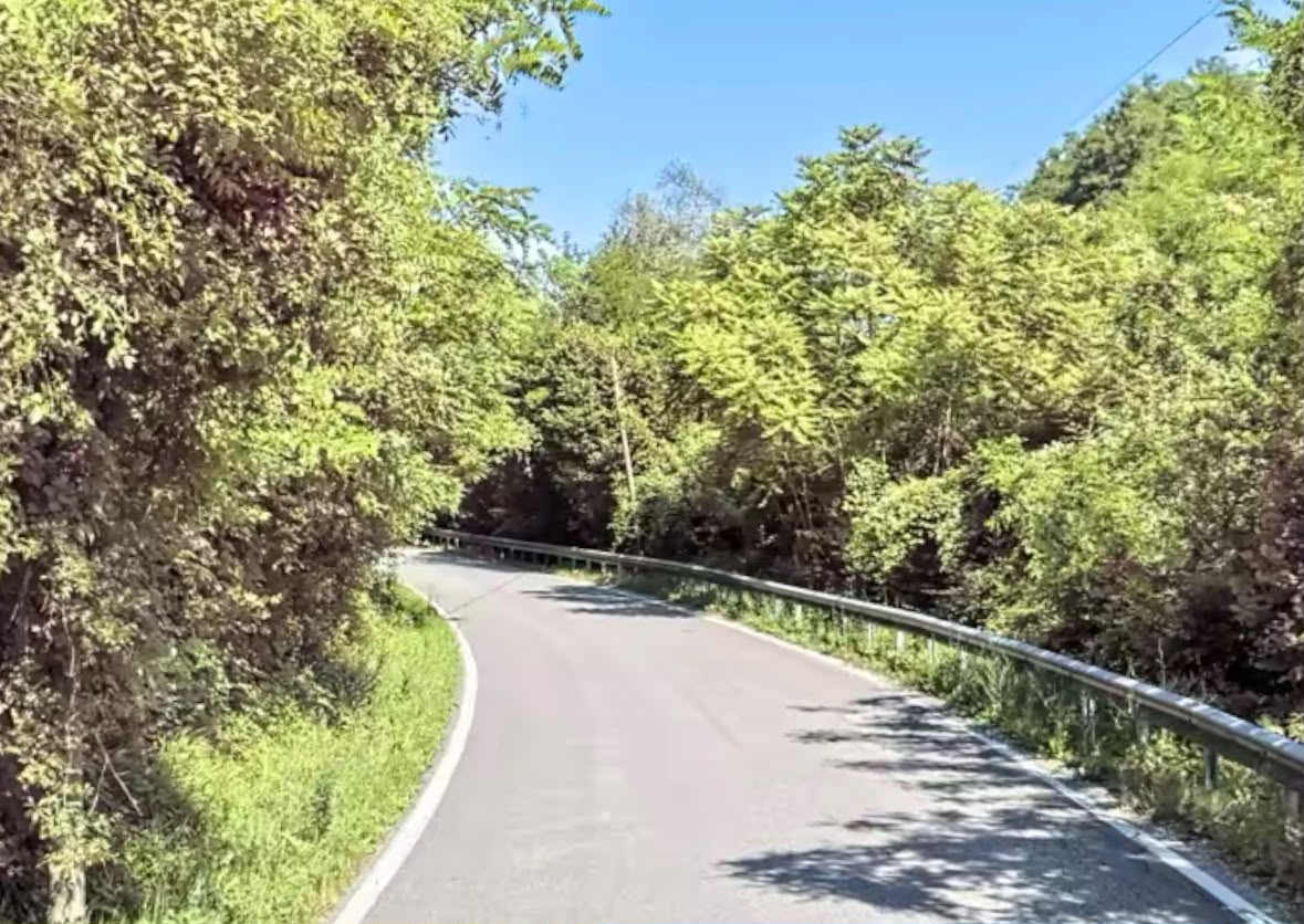 Immagine per Lettere - Strada di Vallone dell’Acqua «dimenticata dal Comune, è degrado»