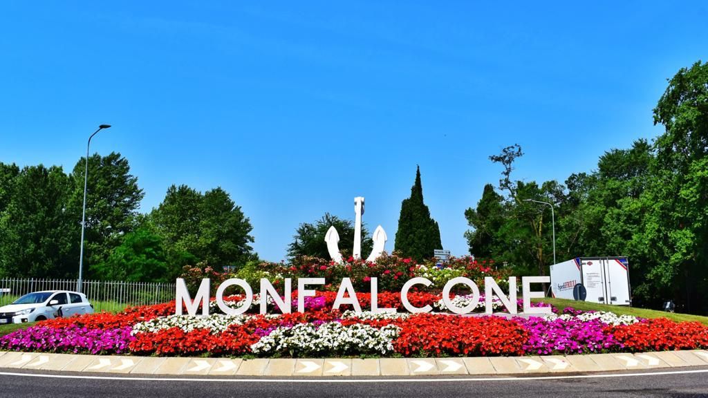 Immagine per Monfalcone, il Comune vara la gestione integrata del verde indesiderato