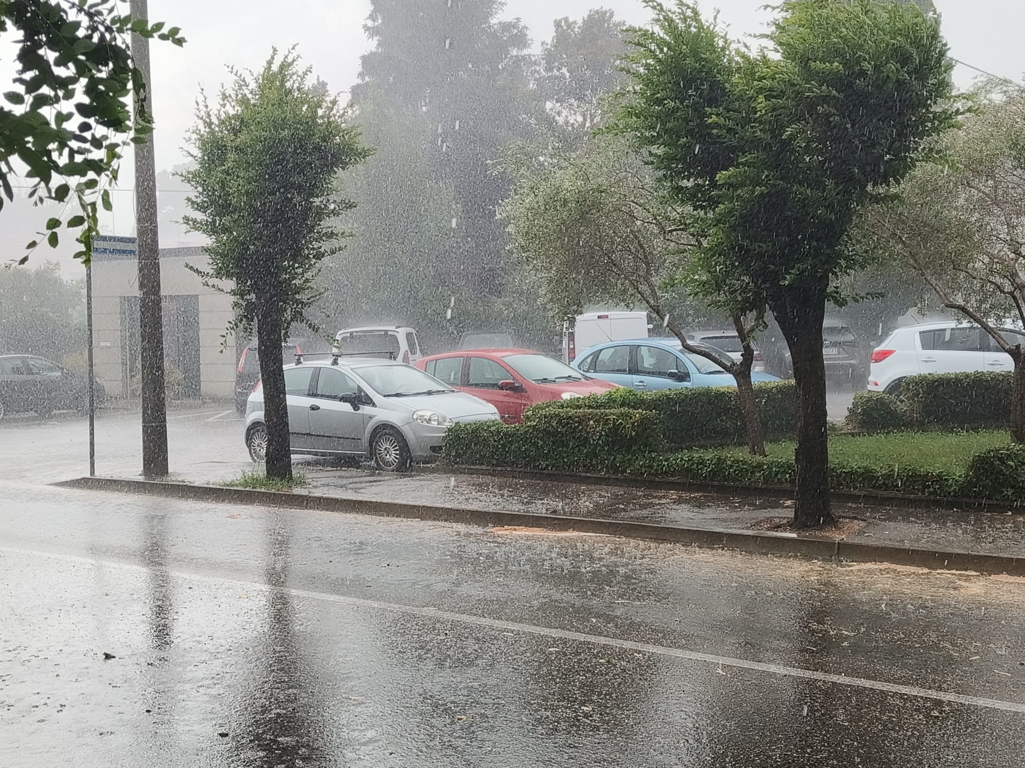 Immagine per Calano le temperature in Fvg, in arrivo forti temporali e vento tra mercoledì 1 e giovedì 2 luglio