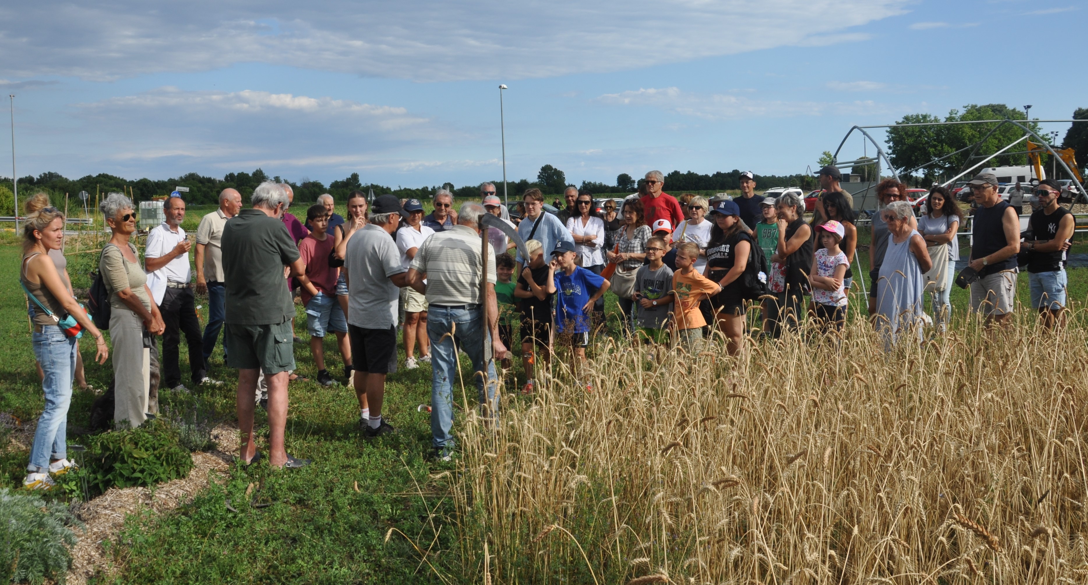 Immagine per Dobbia, torna la Festa della mietitura a mano del grano al Giardino Botanico Brumati