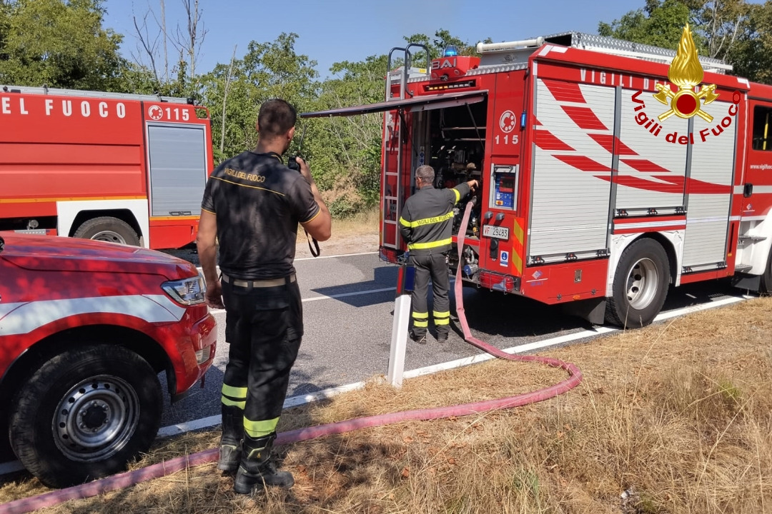 Immagine per Incendi boschivi, l'appello del Comune di Duino Aurisina: «Massima prudenza e niente sprechi d'acqua»