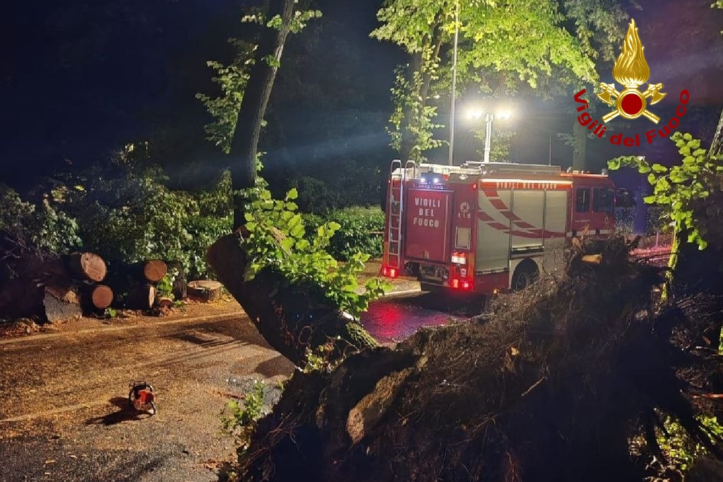 Immagine per Sabato 11 luglio in allerta meteo gialla per il Fvg: previsti temporali e venti forti