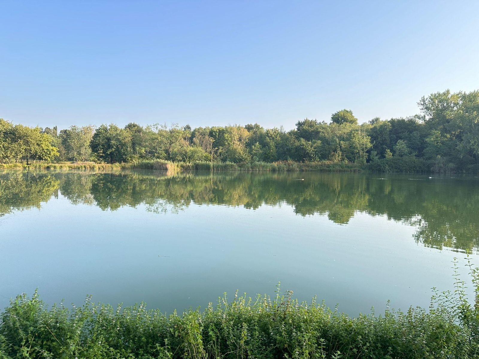 Immagine per San Lorenzo Isontino, arriva la prima camminata 'Dentri e fur dal bosc'