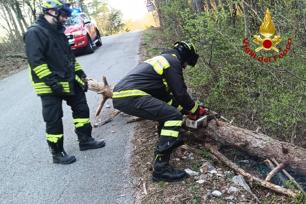 Immagine per Maltempo tra l'11 e il 12 maggio: 20 gli interventi urgenti dei Vigili del Fuoco goriziani