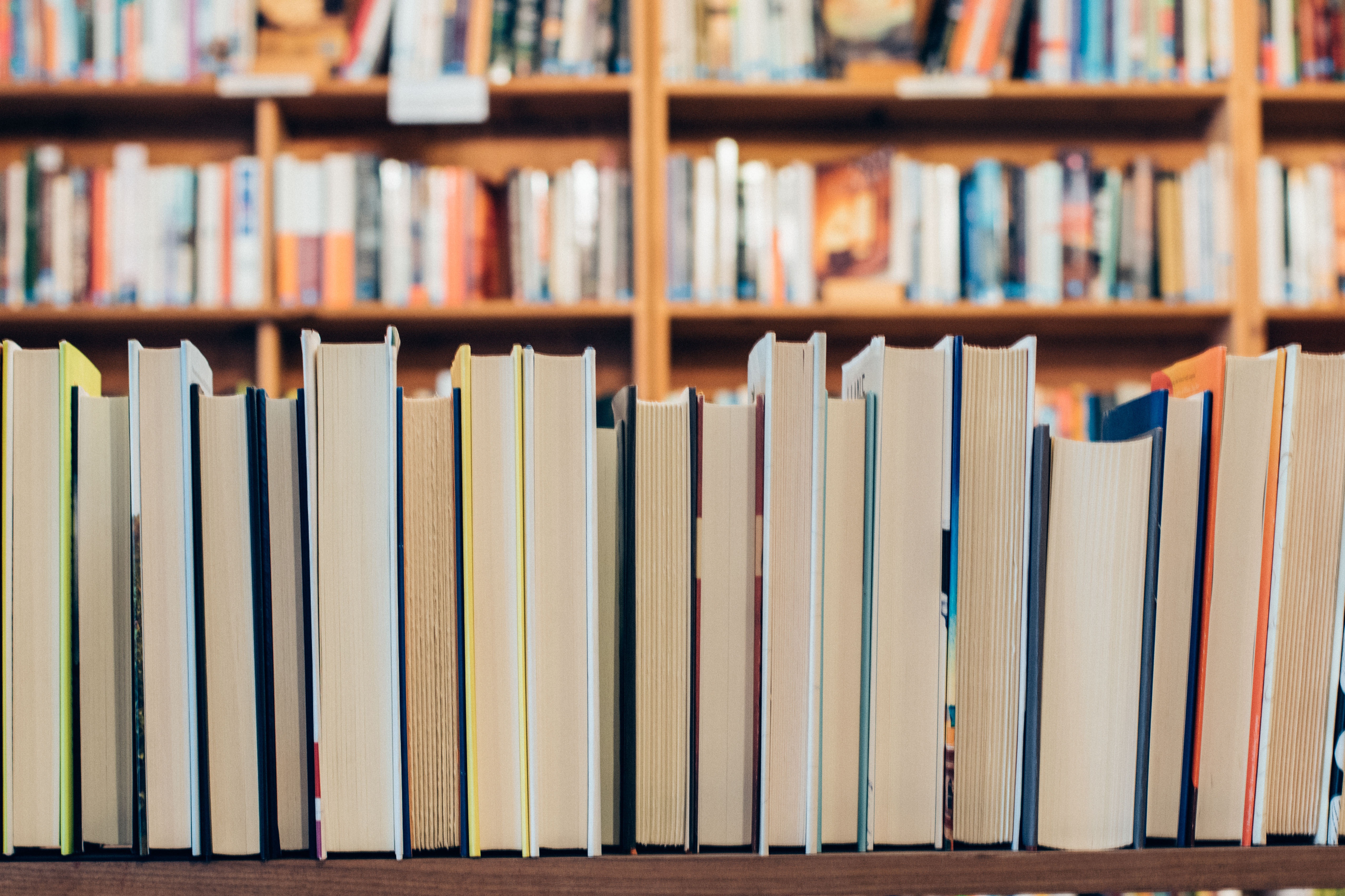 Immagine per Duino Aurisina, contributi per l'acquisto dei libri scolastici: sostegno alle famiglie in difficoltà