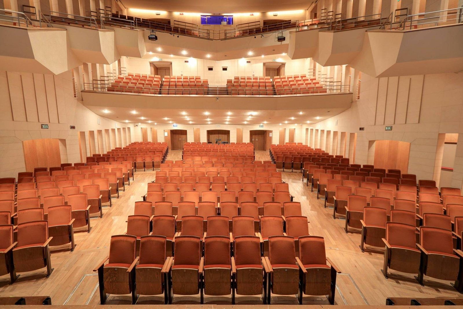 Immagine per La Nordest Sinfonia al Teatro Verdi di Gorizia: la grande musica di Mahler per sostenere la ricerca sul cancro