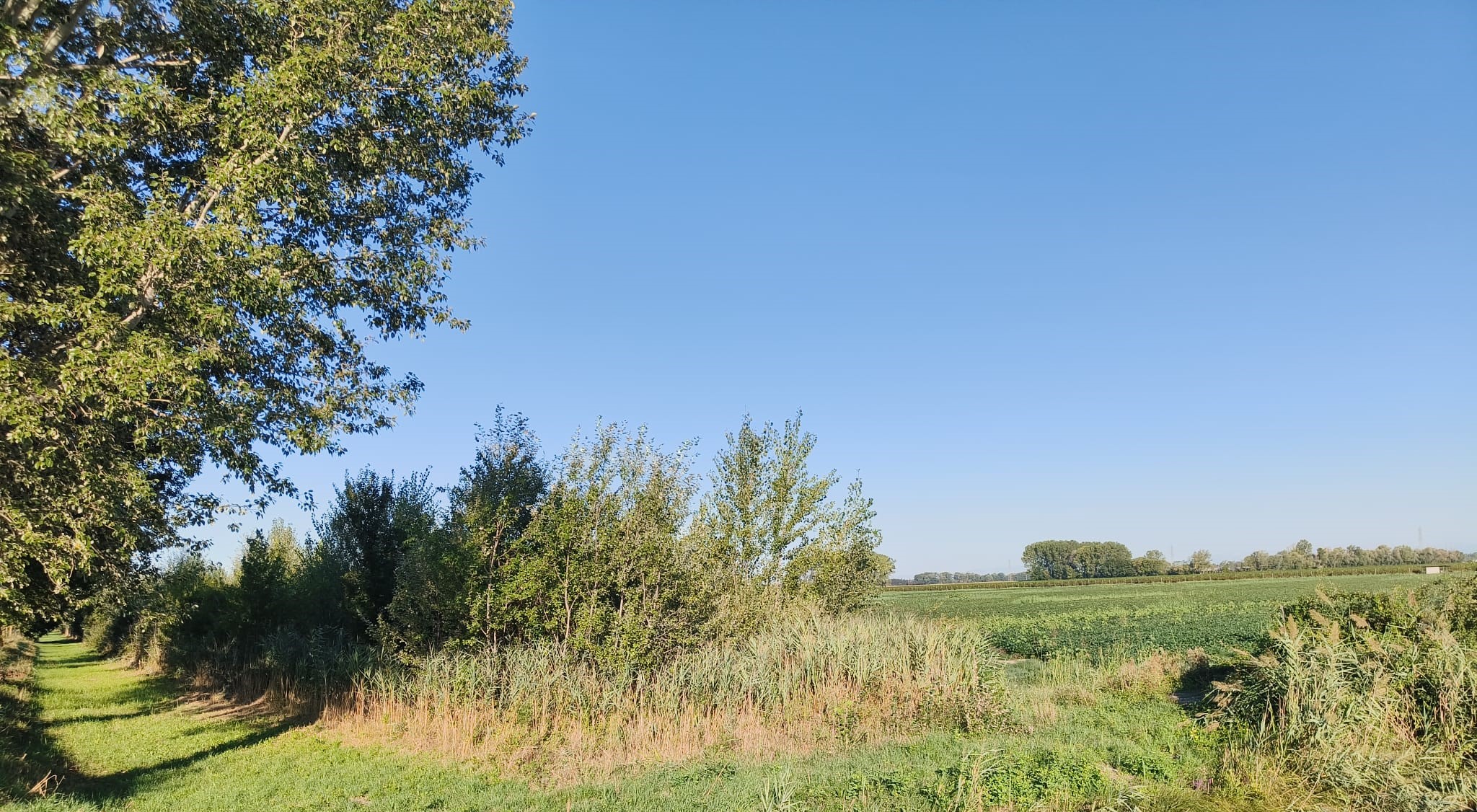 Parco Agrivoltaico 'del Brancolo', Monfalcone replica a Staranzano: «Siamo direttamente coinvolti»