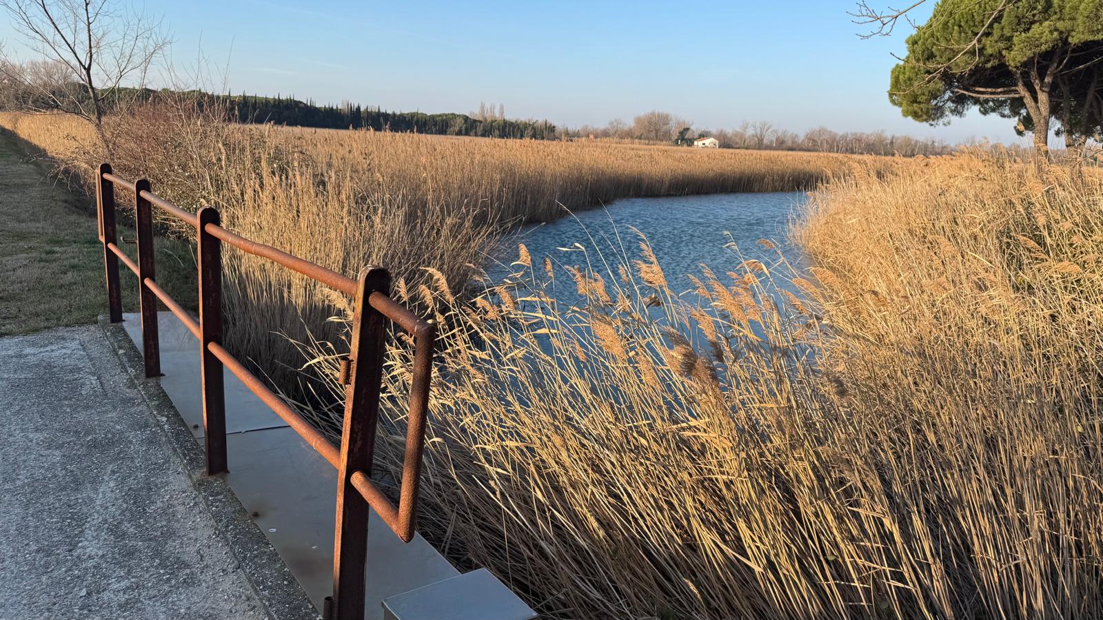 Immagine per Parco Agrivoltaico Brancolo, il progetto coinvolge direttamente Monfalcone: Staranzano attende approfondimenti