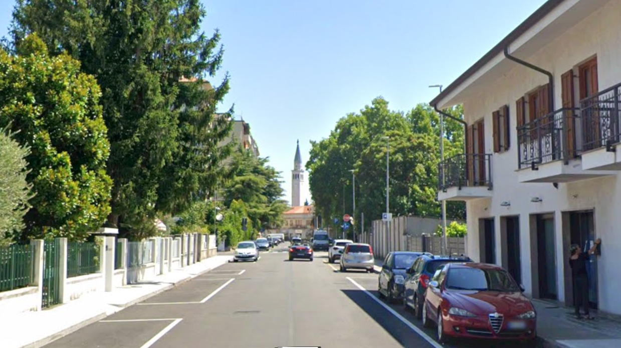 Immagine per Caso di Dengue a Monfalcone, ordinanza urgente del sindaco Luca Fasan: al via gli interventi di disinfestazione