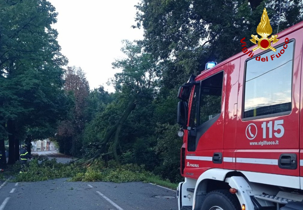 Bora forte, allagamenti e alberi caduti: nuova intensificazione dei temporali in serata sul Fvg