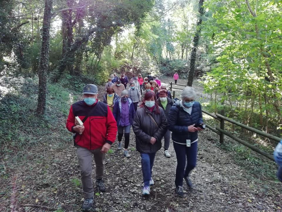 Copertina per Dal bookcrossing alla palestra a cielo aperto, il progetto per rilanciare il Parco di Campagnuzza-Sant'Andrea