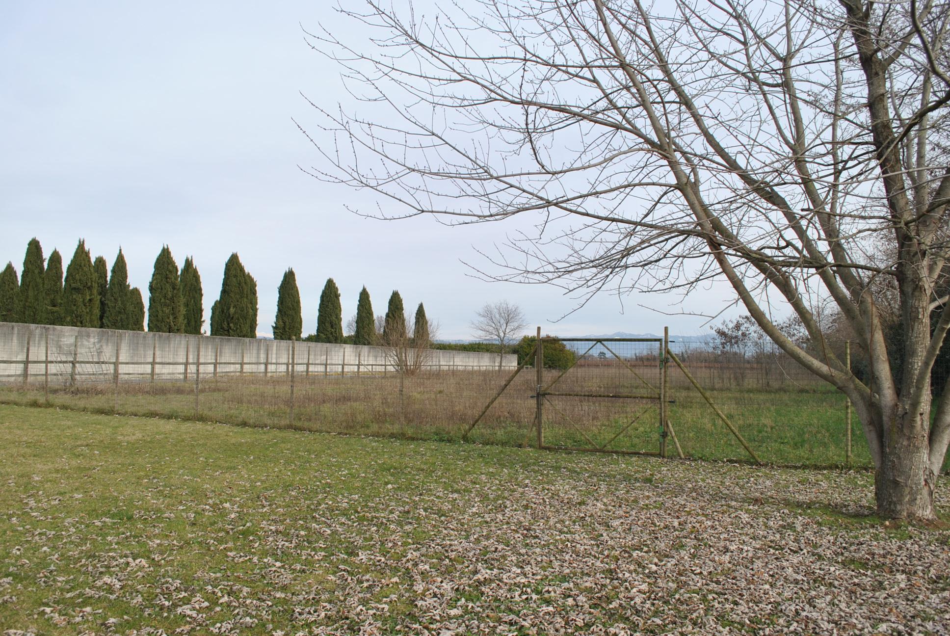 Immagine per Solo una persona ha fatto domanda per gli orti sociali a Romans, si cercano nuovi interessati