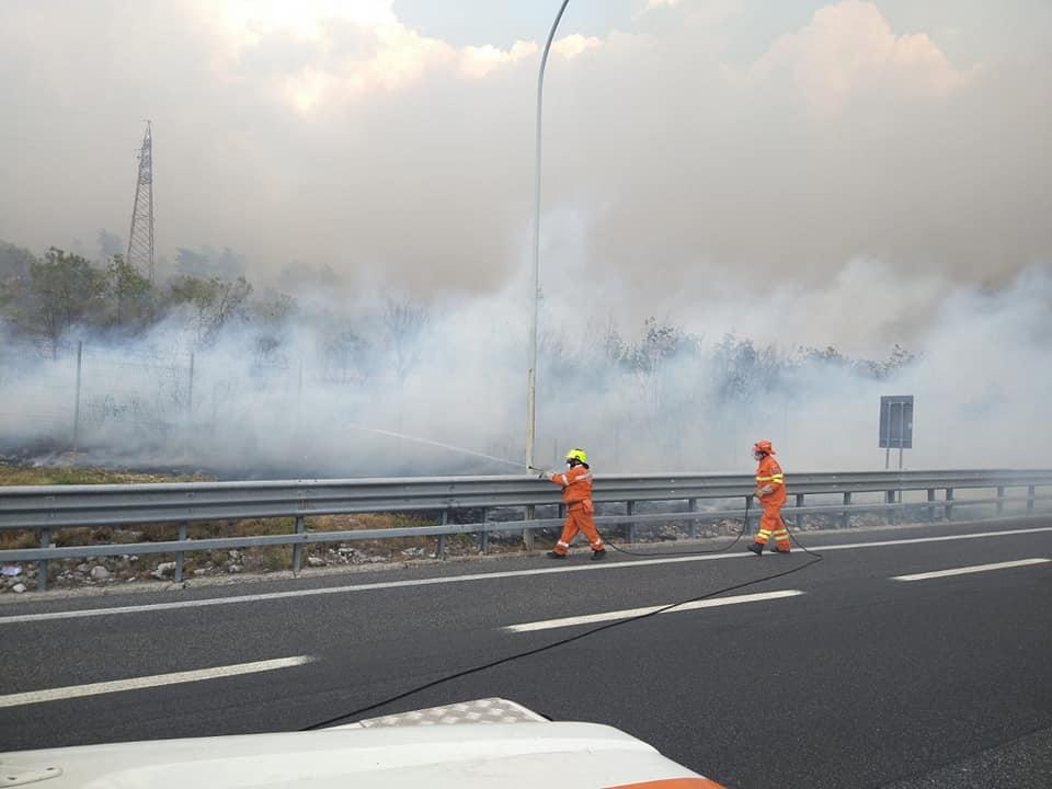 Immagine per Carso in fiamme, incendio anche sulla statale 14. Attivato il canadair