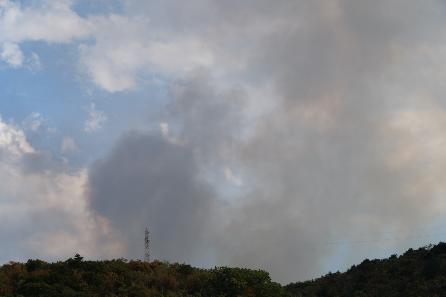 Immagine per Ancora incendi sul monte Brestovec, scoppiate le fiamme sul Carso