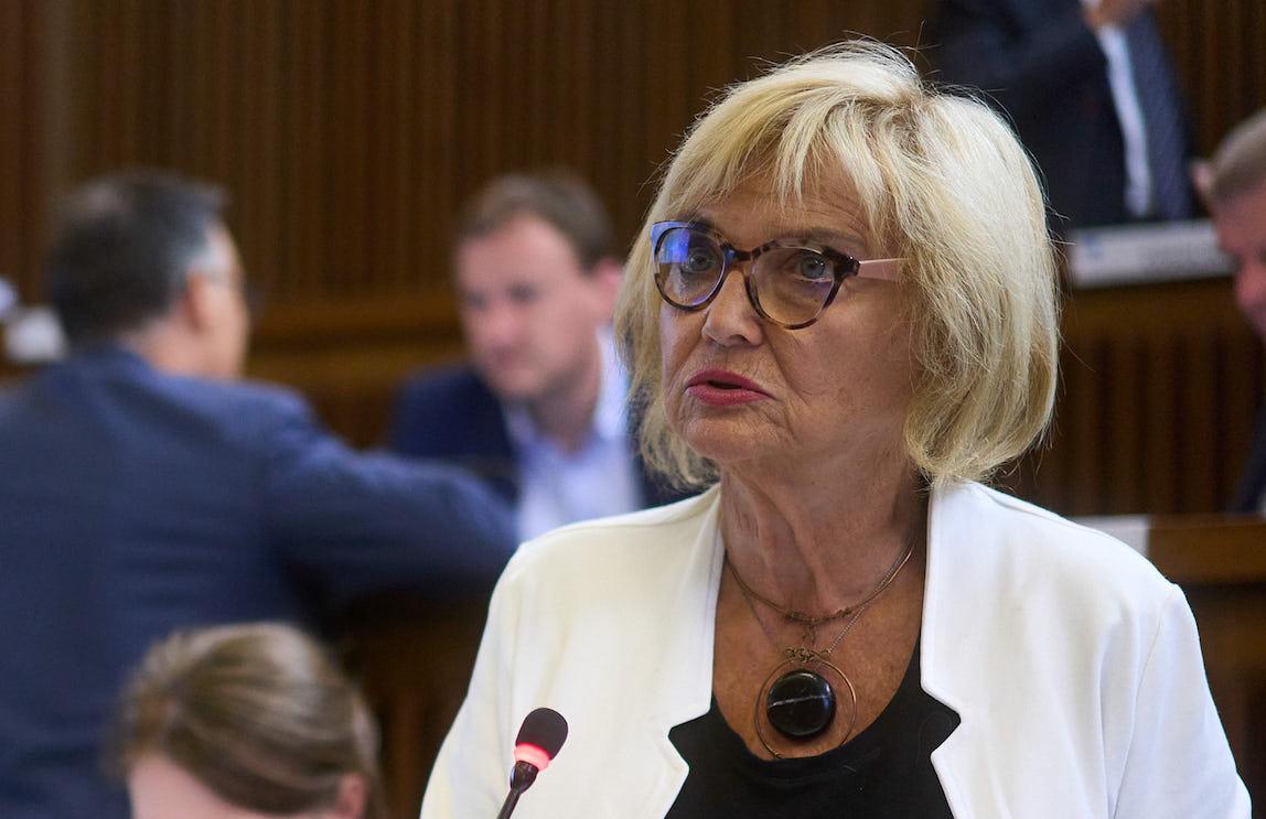 Immagine per Fondi a progetti culturali a Gorizia, Fasiolo: intesa con centrodestra