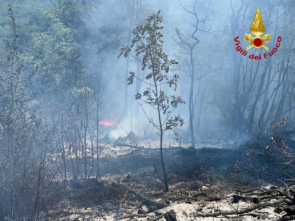 Copertina per Carso, incendio sotto il monte Hermada a Duino Aurisina