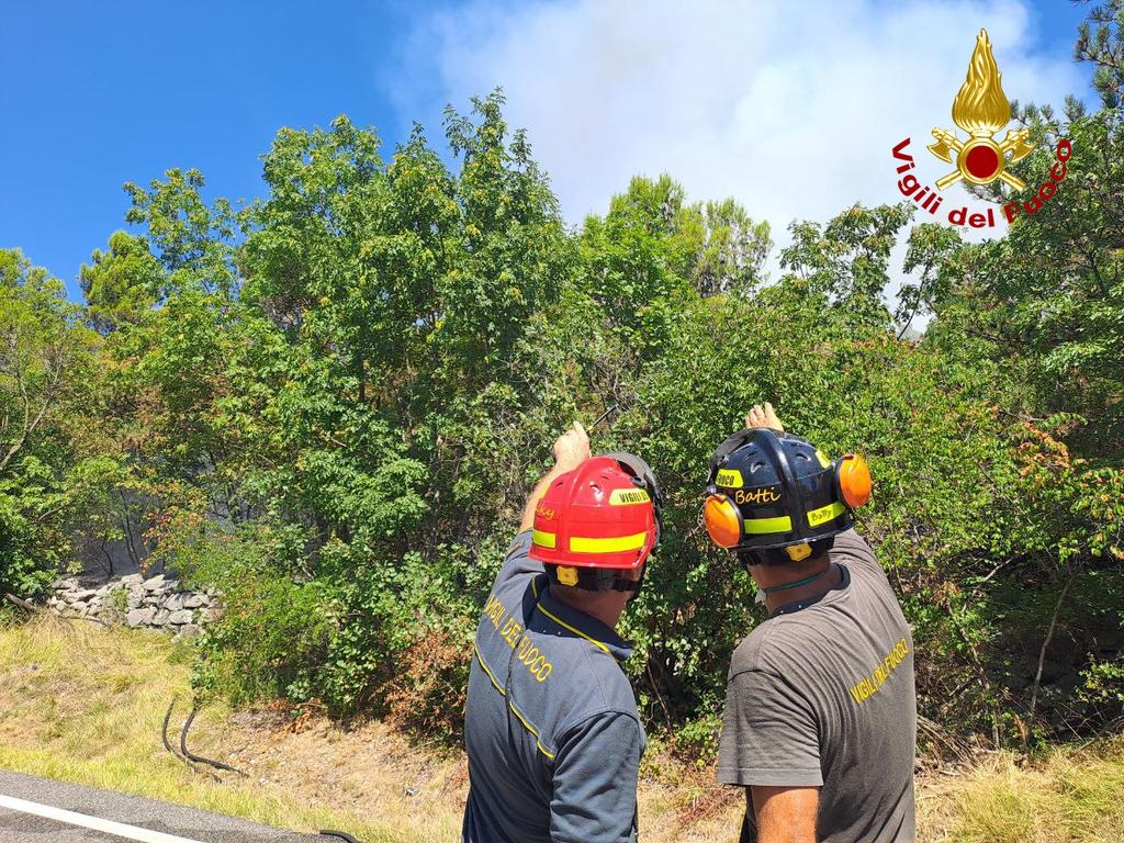 Immagine per Incendio domato sul Carso a Monfalcone, riaperta la strada statale 14