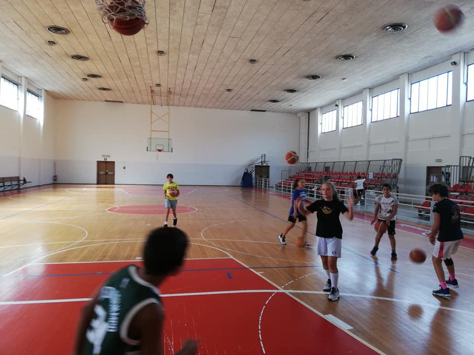 Immagine per Dinamo, Mladi e Dom lanciano il Centro estivo party: 24 ore di basket a Gorizia